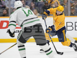 Stars Predators Hockey