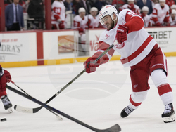 Red Wings Devils Hockey