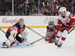 Red Wings Devils Hockey