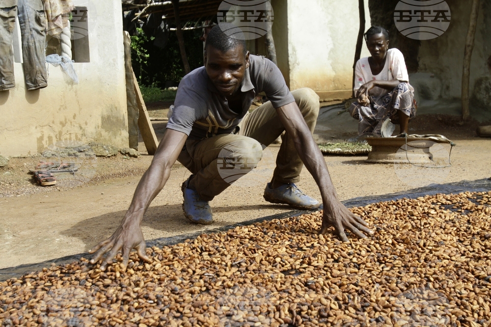 САЩ отменят митата от 15 на сто за селскостопанските продукти от Гана, включително какаото