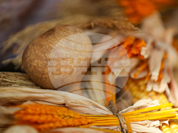 Благоевград - „За хляба наш…“ - ученически фестивал