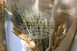 Благоевград - „За хляба наш…“ - ученически фестивал