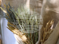 Благоевград - „За хляба наш…“ - ученически фестивал