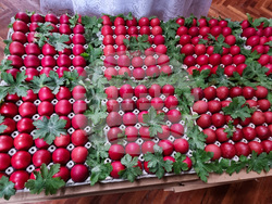 Велико Търново - Велики Четвъртък - служба