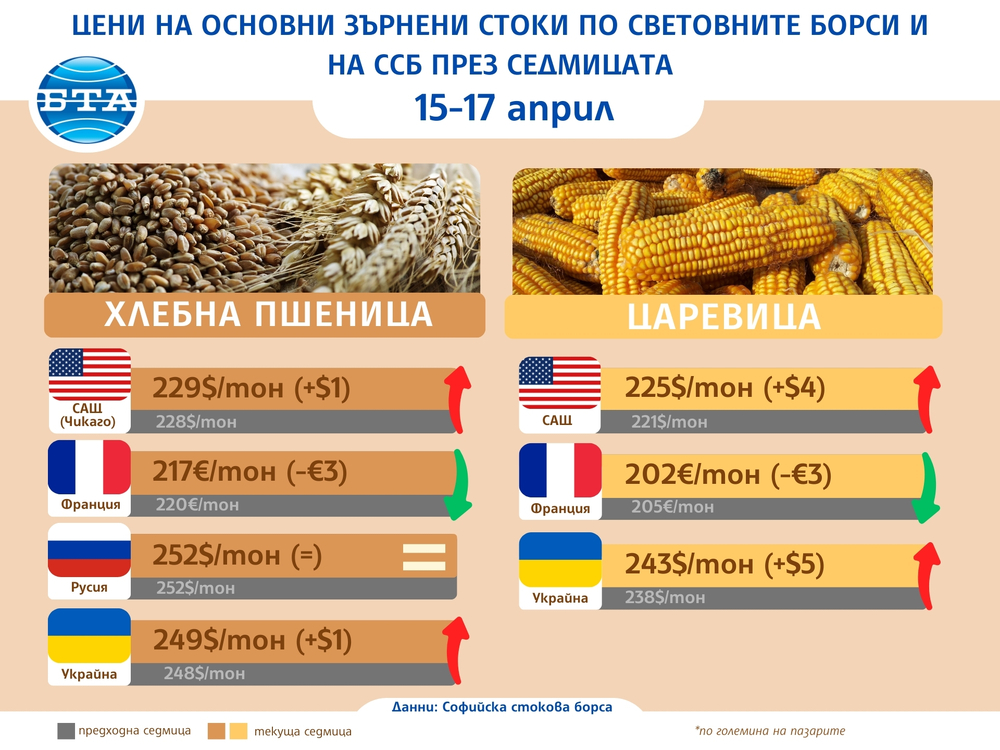 Разнопосочно движение в цените на основните зърнени култури по световните борси през седмицата отчитат от ССБ