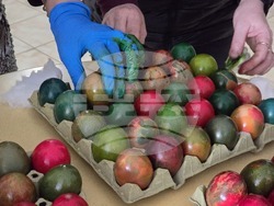 Ловеч - БЧК - великденски яйца - дарение