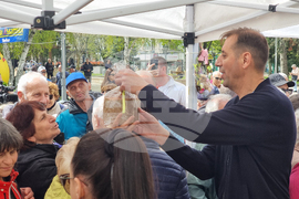 Ямбол - великденски козунаци