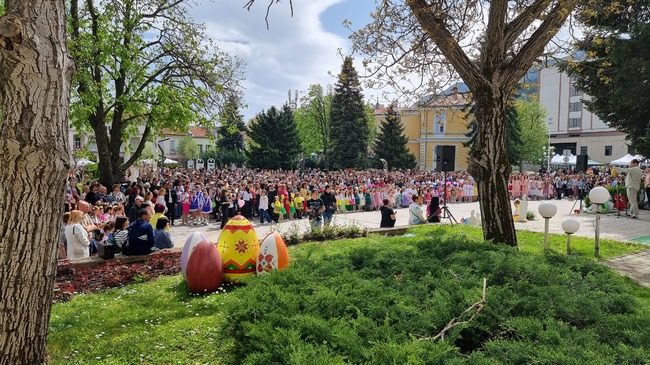 Карнавалът на цветята във Враца ще стане традиция и ще се провежда по подобие на фестивалите по света, обяви кметът Калин Каменов