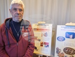 Кърджали - музей - изложба - яйца