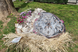 Враца - фестивал „Цветна пролет“