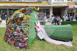 Враца - фестивал „Цветна пролет“