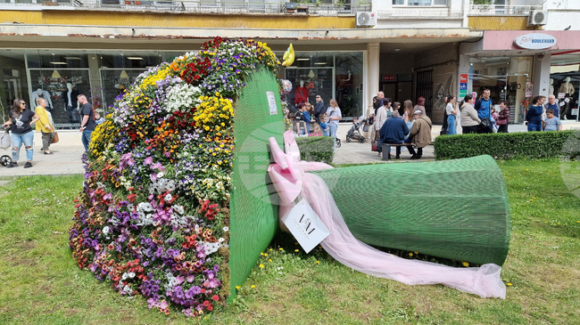 Второ издание на фестивала „Цветна пролет“ подготвя Община Враца