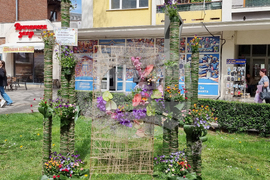 Враца - фестивал „Цветна пролет“