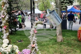 Враца - фестивал „Цветна пролет“