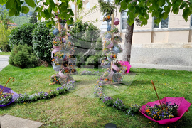 Враца - фестивал „Цветна пролет“