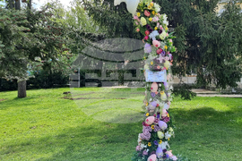 Враца - фестивал „Цветна пролет“