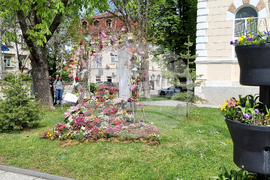 Враца - фестивал „Цветна пролет“