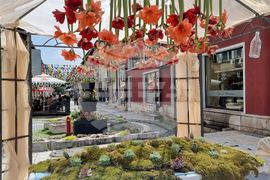 Враца - фестивал „Цветна пролет“