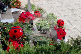 Враца - фестивал „Цветна пролет“