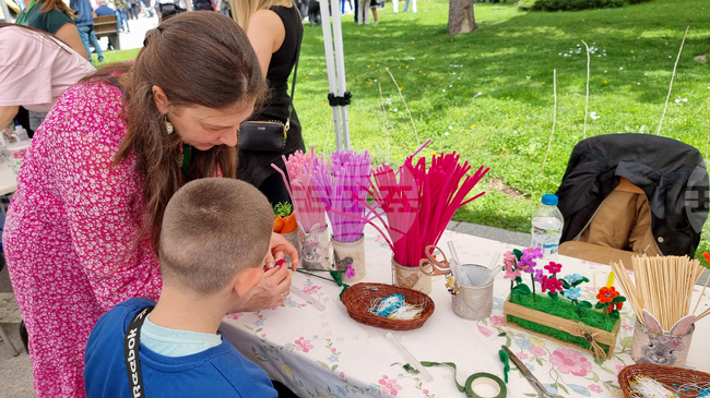 Пет образователни институции от Враца участваха в пилотен международен проект