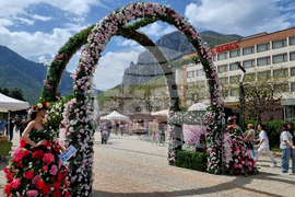 Враца - фестивал „Цветна пролет“