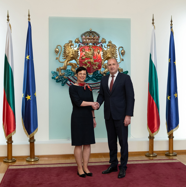 Румен Радев: За да е устойчив и необратим, процесът на разширяване на ЕС трябва да се гради на реалното изпълнение на критериите за членство