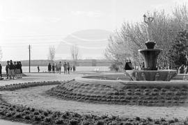 Силистра през 1963 година