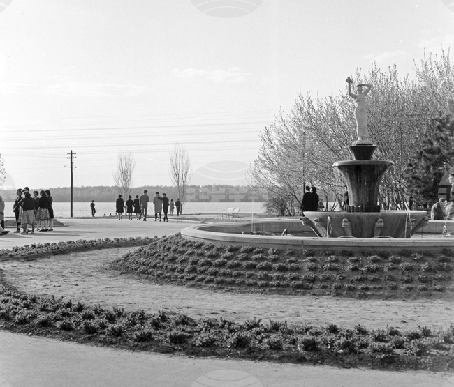 Силистра през 1963 година