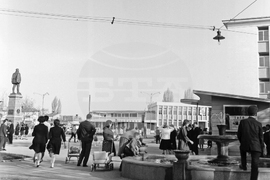 Силистра през 1963 година