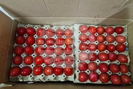 Троянски манастир - великденска работилница - деца - боядисване на яйца