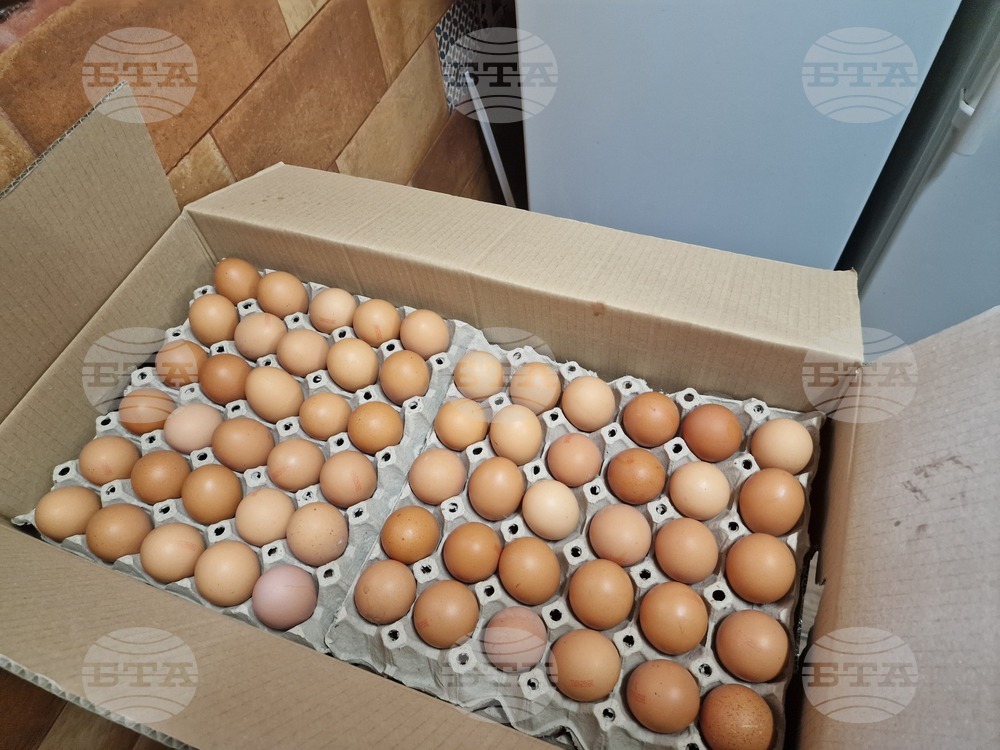 Над 86 000 кокоши яйца без документи, открити при съвместна акция с полицията в Харманли, ще бъдат унищожени, съобщи БАБХ