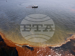 Нефтен разлив в Мексиканския залив