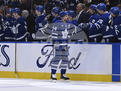 Red Wings Maple Leafs Hockey