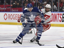 Red Wings Maple Leafs Hockey