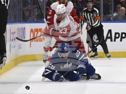 Red Wings Maple Leafs Hockey