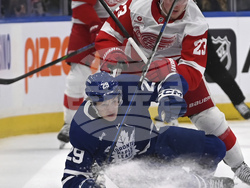 Red Wings Maple Leafs Hockey