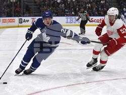 Red Wings Maple Leafs Hockey