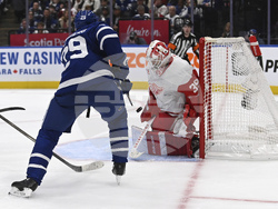 Red Wings Maple Leafs Hockey