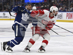 Red Wings Maple Leafs Hockey