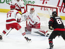 Hurricanes Senators Hockey