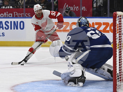 Red Wings Maple Leafs Hockey