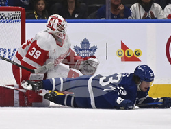 Red Wings Maple Leafs Hockey