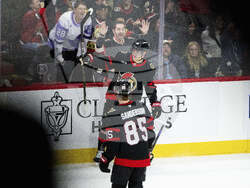 Hurricanes Senators Hockey