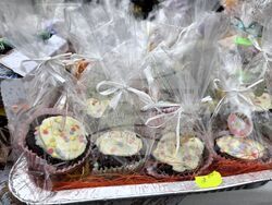 Снимка: Община Асеновград