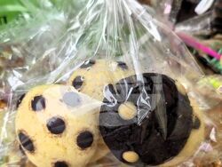 Снимка: Община Асеновград