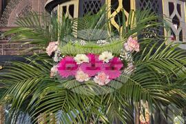 Видин - Опело Христово