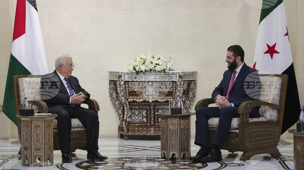 Syria Palestinians