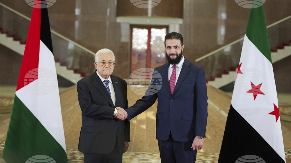 Syria Palestinians