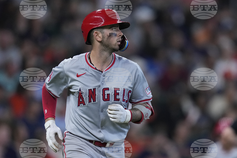 Angels Neto Baseball