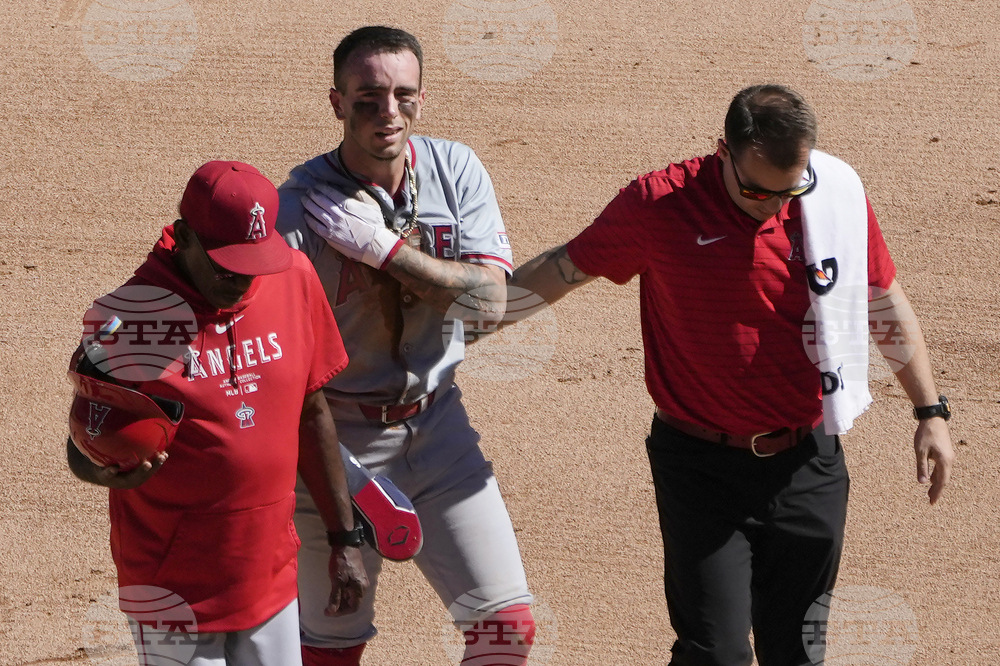Angels Neto Baseball